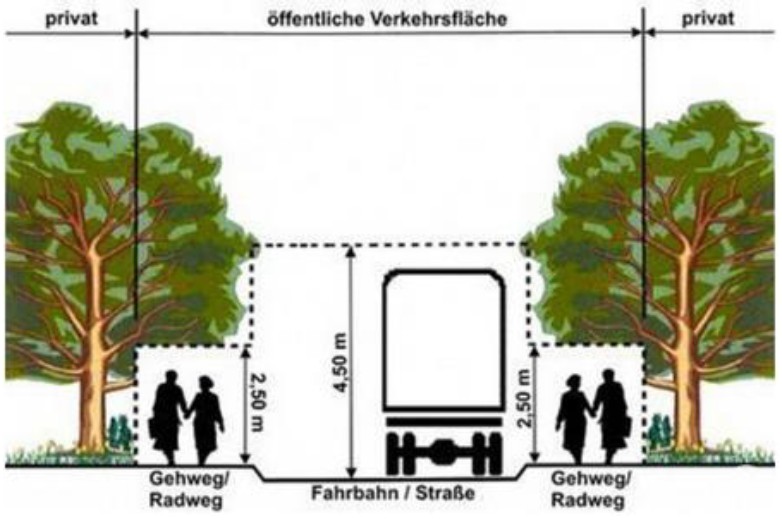 Rückschnitt